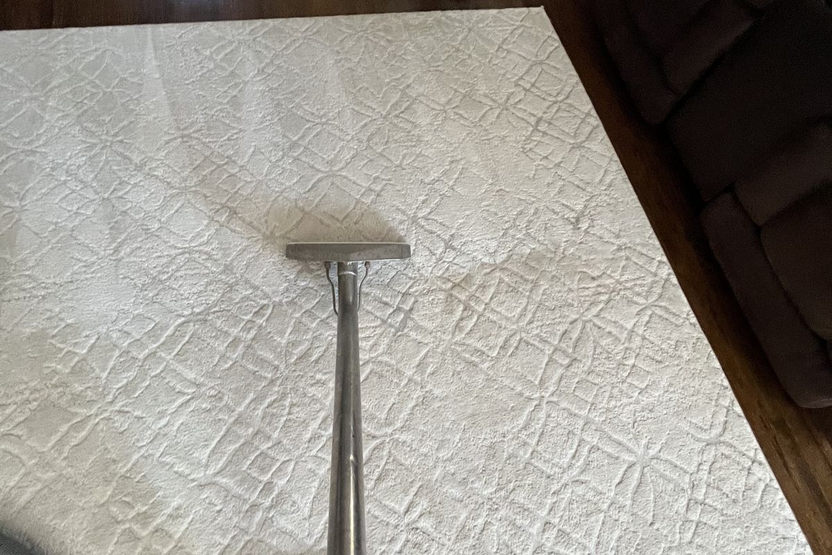 Dream Steam Residential Area Rug Cleaning