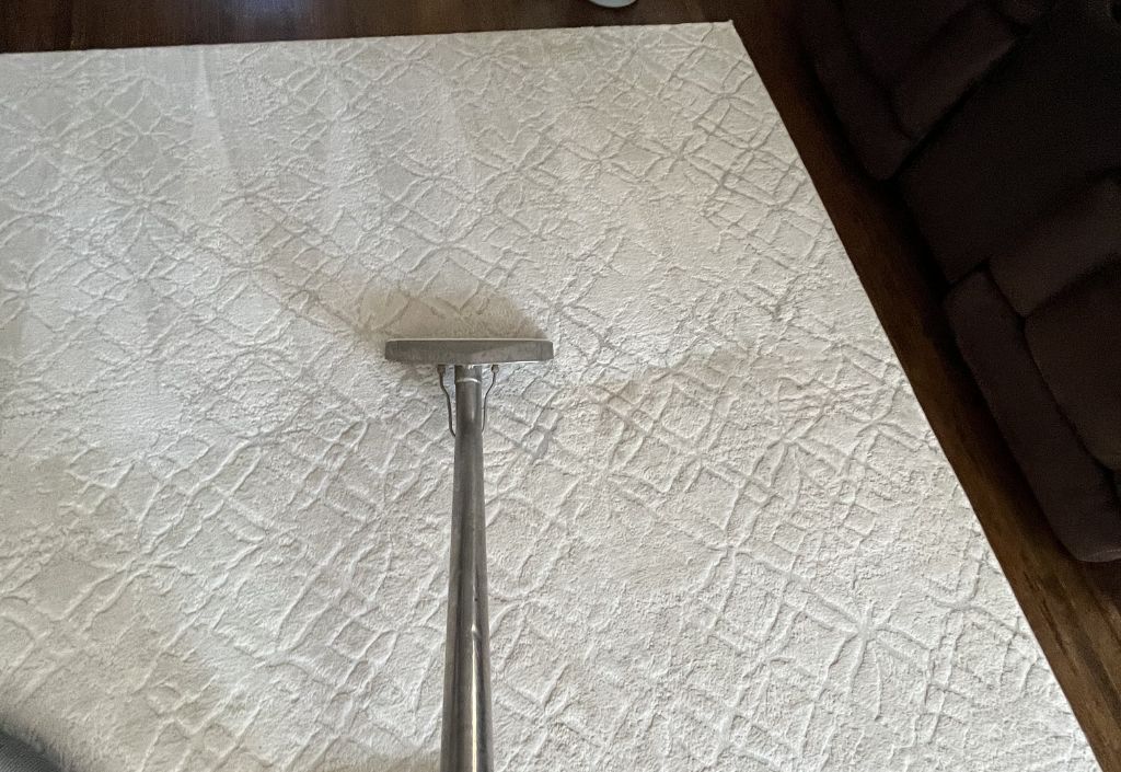 Dream Steam Residential Area Rug Cleaning Service