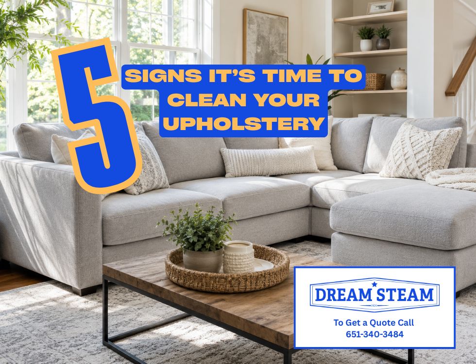 Dream Steam Professional Upholstery Cleaning living room