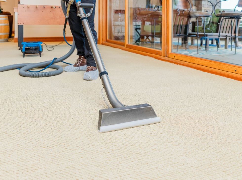 carpet cleaning Dream Steam